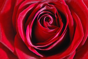 valentin